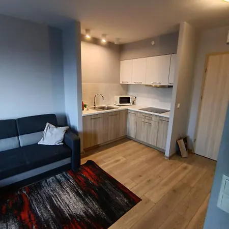 Zarnik Apartametns In Sczecin * シュチェチン